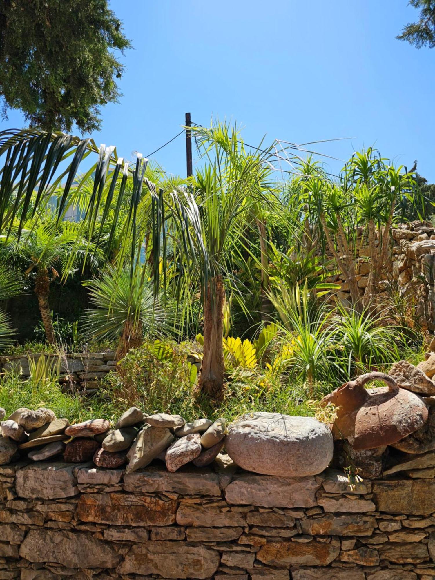 Niriides Hotel Apartments Symi Bagian luar foto